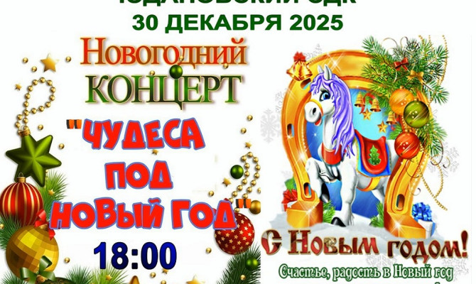 Новогодний концерт.Юдановский СДК